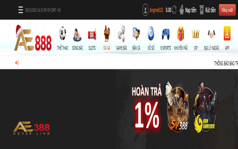 Giới thiệu về hạng mục đá gà AE388